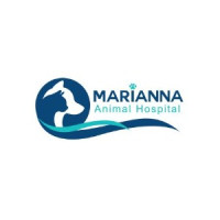 Marianna Animal Hospital