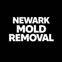 Newark Mold Removal