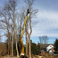H&H Tree Service