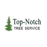 Top Notch Tree Service