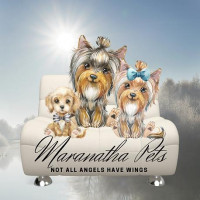 Maranatha Pets