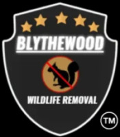Blythewood Wildlife Removal