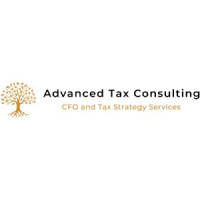 Advanced Tax Consulting