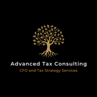 Advanced Tax Consulting