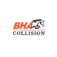Black Horse Collision