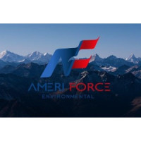 AmeriForce Environmental INC