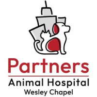 Partners Animal Hospital Wesley Chapel
