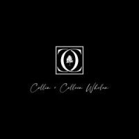 The Collin + Colleen Whelan Team