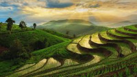 FOR THAILAND CITIZENS NEW ZEALAND Immigration of New Zealand for Electronic Travel Authority and Visa for Tourist and Business