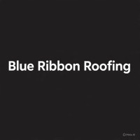 Blue Ribbon Roofing