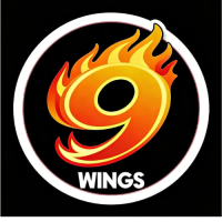 9WINGS