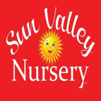 Sun Valley Yard Consultation