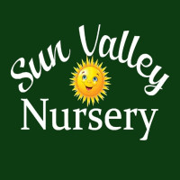 Sun Valley Yard Consultation | Sun Valley Nursery