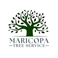 AllSetPro Maricopa Tree Services