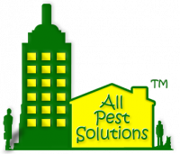 All Pest Solutions