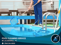AQUA DUDE & CAICOS DANVA POOL SERVICE