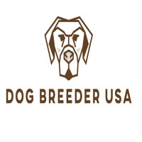 Dog Breeder USA.