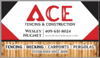 Ace Fencing