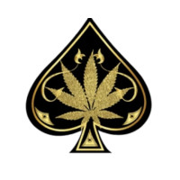 ace flavors