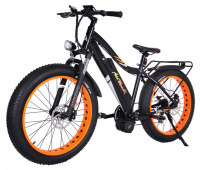Fat Tire Electric Bicycle 1000w