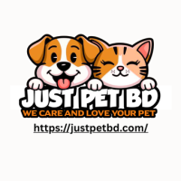 Cat Food Price in Bangladesh: Affordable and Quality Options for Your Cat