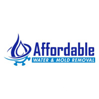 Affordable Water and Mold Removal