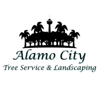 Alamo City Tree Service & Landscaping
