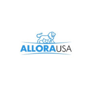 5 Best 27 Inch Kitchen Sink For Farmhouse | AllouraUSA
