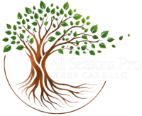 All Seasons Pro Tree Care LLC