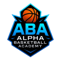 Basketball Training Fairfax VA