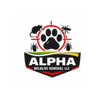 Pest Control Service Columbus, OH