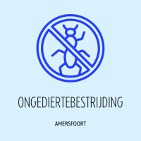 Amersfoort Ongediertebestrijding