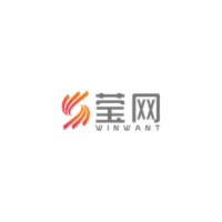 Anhui Yingwang Technology