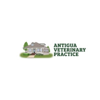 Antigua Veterinary Practice
