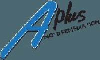 A Plus Mold Remediation Inc
