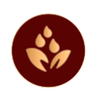 Accounting Services in UAE