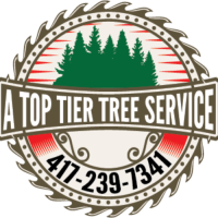 A Top Tier Tree Service