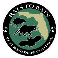 Rat Control Specialist