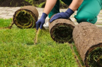Riverton Landscaping Services