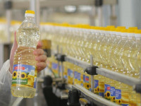 Refined Sunflower oil for sale