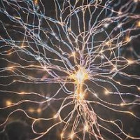 Can online therapy help with compulsive behavior treatments?