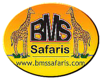 BMS SAFARIS LTD