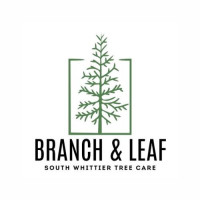 Branch & Leaf South Whittier Tree Care