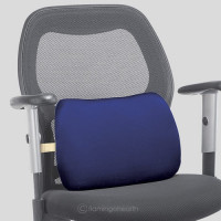 Buy Flamingo Back Rest - Small for Superior Comfort and Posture Support