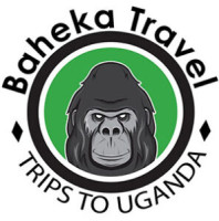 Step Into The Wilderness With Africa Safari Holidays