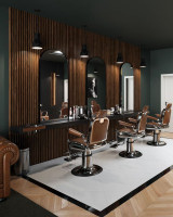 Levi classic cuts