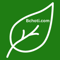 Bangla Choti