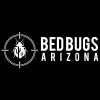 Bed Bugs Arizona