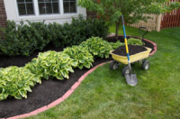 Bellevue Lawn Care
