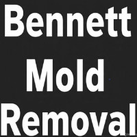 Bennett Mold Removal